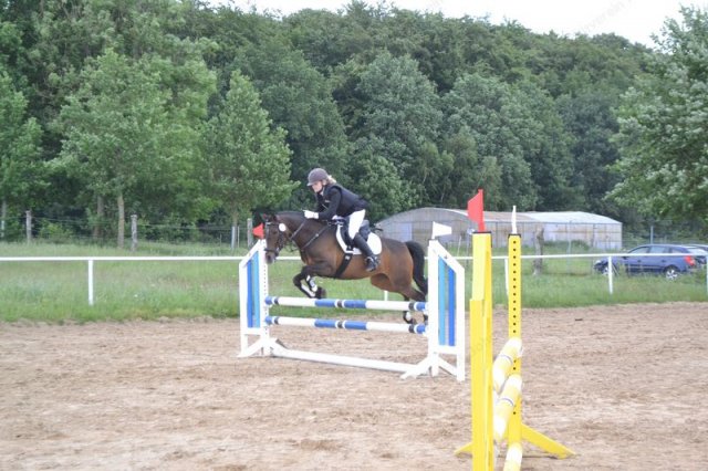 reitertag 2013 78